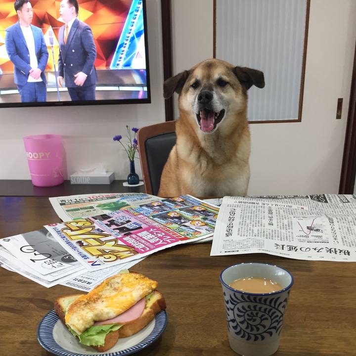 3e9e3503 226f 49d4 994a 53d890d275af 1588634690346