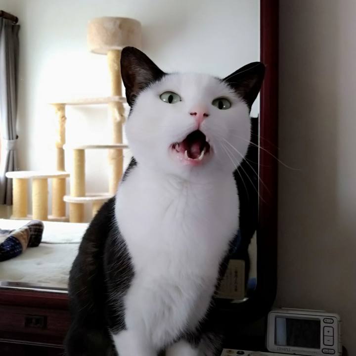 3e9e5d95 624c 4aef 9777 8d7c9d352186 1602990286613