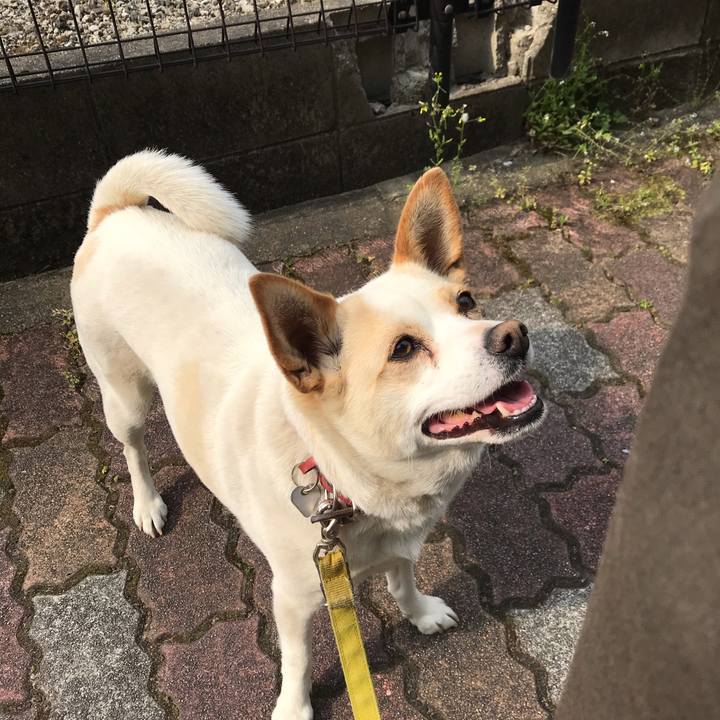 3e9e5eed b393 46a3 b9ec a22180a618be 1591240945917