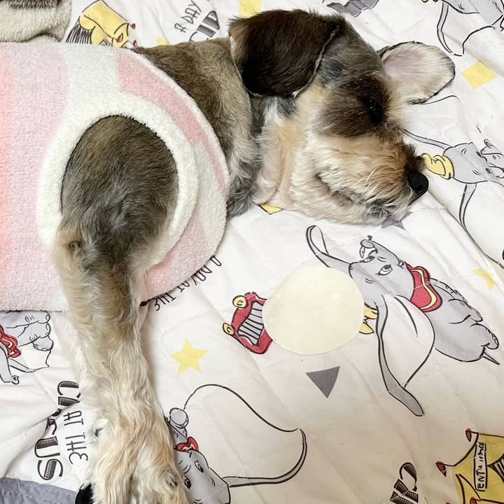 3e9e7853 f275 4a46 a925 787aec7ef6b1 1708867387230