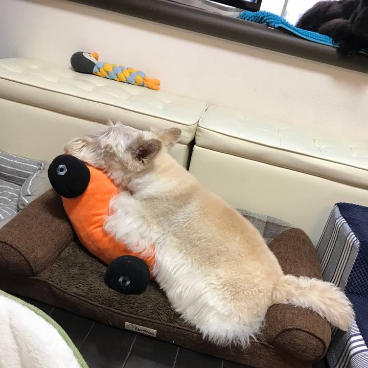 3e9e8be9 1673 481f 9cf4 5625d360234c 1518506574777