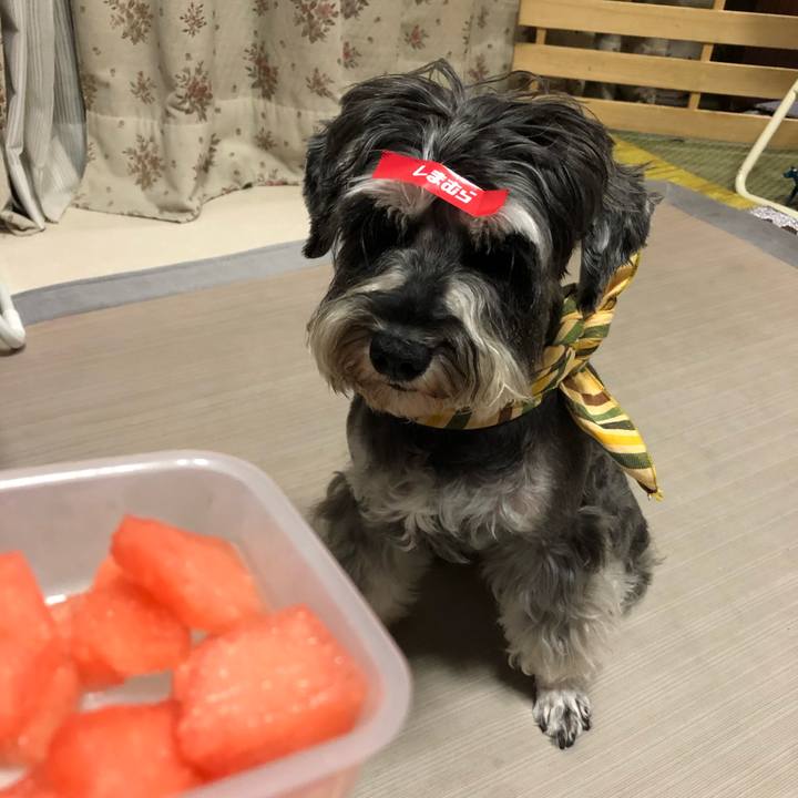 3e9eca0b 9bec 4100 b0d7 6dd8d507082a 1627904069135