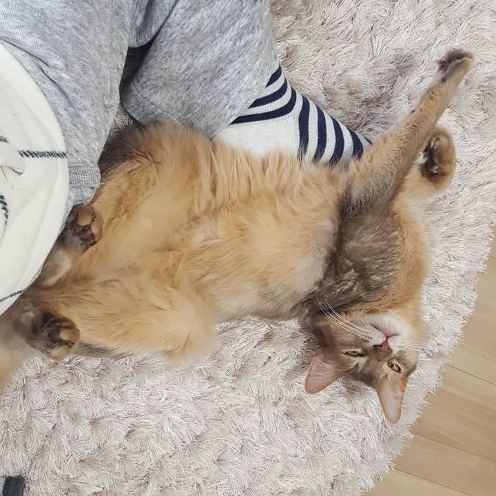 3e9edc3d 4355 4ddf b9d5 659fd1447661 1583552513061