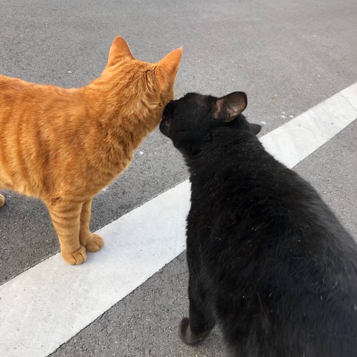 3e9edd7b ee10 4879 af9a 564ded552c53 1521103604656