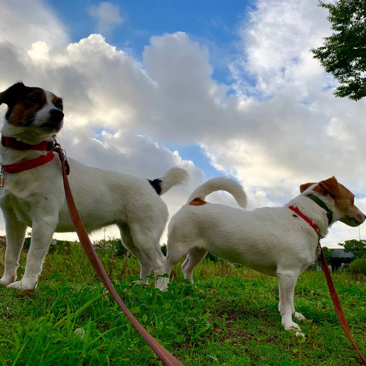 3e9f0a94 1e8f 4a3d bf91 4299f62d1f4d 1564177397768