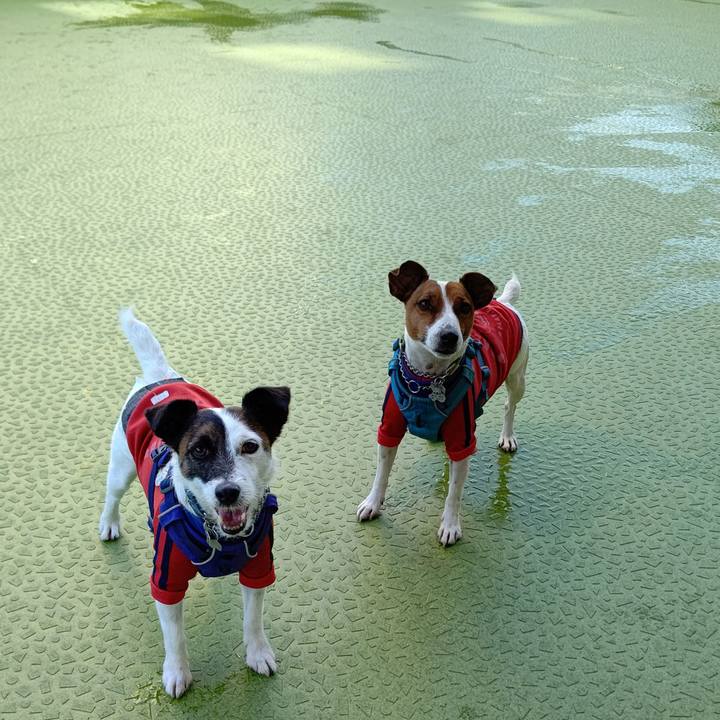 3e9f28a7 cac9 425f a946 1b1ab74d17f6 1618449492827