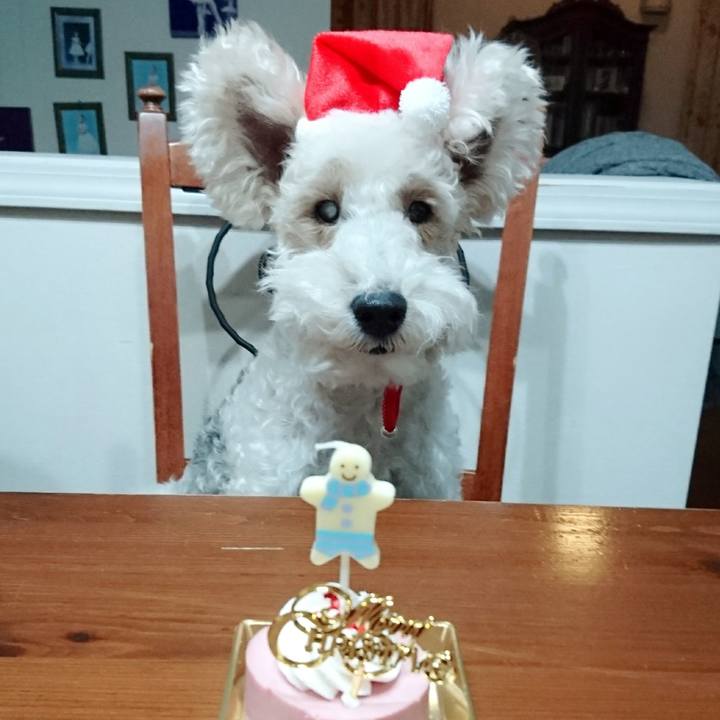 3e9f2e0d 5486 4368 aa1d c49b25eb3e29 1514119864699