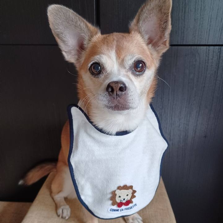 3e9f3448 7e95 4d86 aa5f bd8c64da22a4 1758668336669