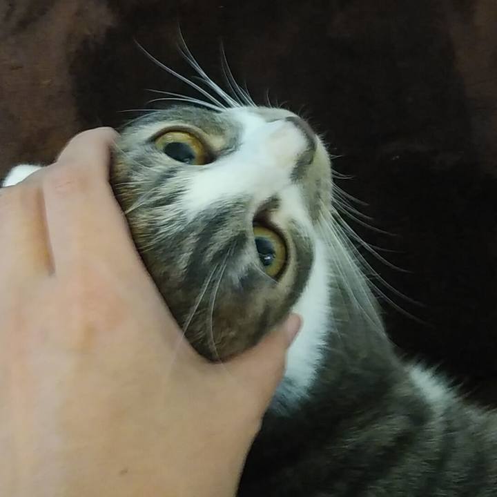 3e9f3a4e 5987 4669 ab0c 3af9686ddebe 1577746620263