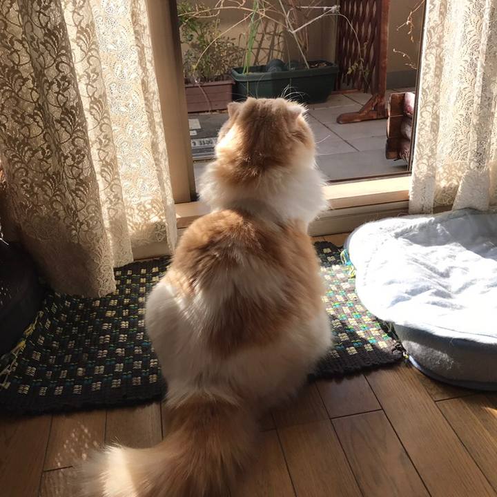 3e9f3d09 4dbf 471b b997 8a037d1006e1 1545227420473