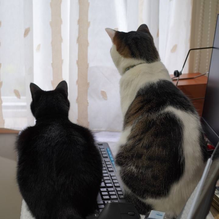 3e9f52dc e844 415e b2eb c740df64540c 1625017492432