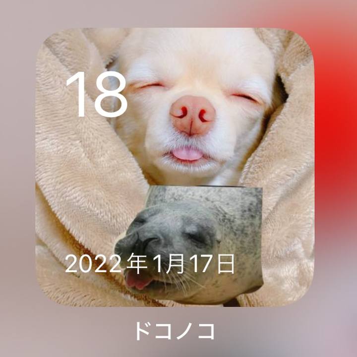 3e9f5858 bc1f 4279 b8e0 3dbac9c985b9 1705563921648