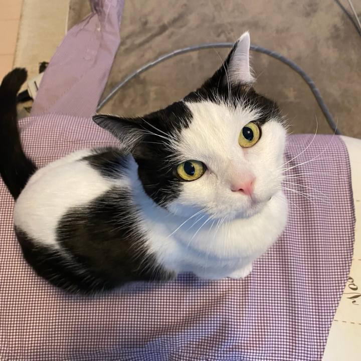 3e9f625e 6133 4c73 8a89 47fe3cc6bc4b 1770677373802