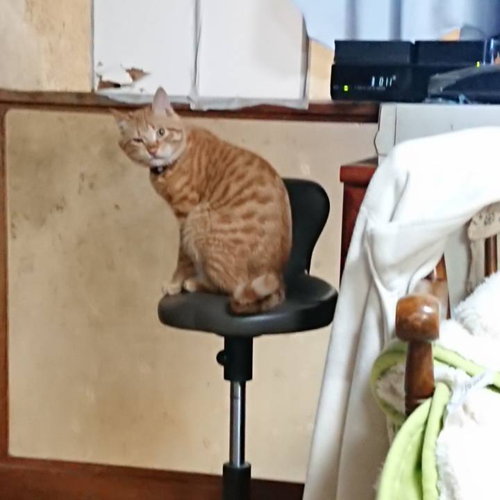 3e9f7ec7 d6f6 4cd6 9bdc cf4e377e736a 1642715833554