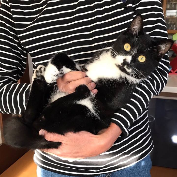 3e9f8b87 95ee 4812 b0a2 641e28ecdcd5 1513310043576