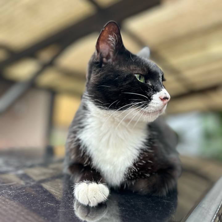 3e9f959e 083d 476f a21c 0475b933a2d3 1720778040992