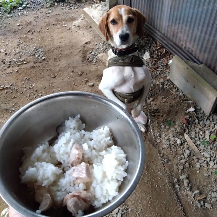 3e9fdedf 4a1f 4425 bb7d d235a22fcdf2 1688905372084