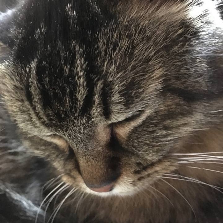 3ea0180f 0b95 43b7 9f24 cbd31362b1ee 1769207057542