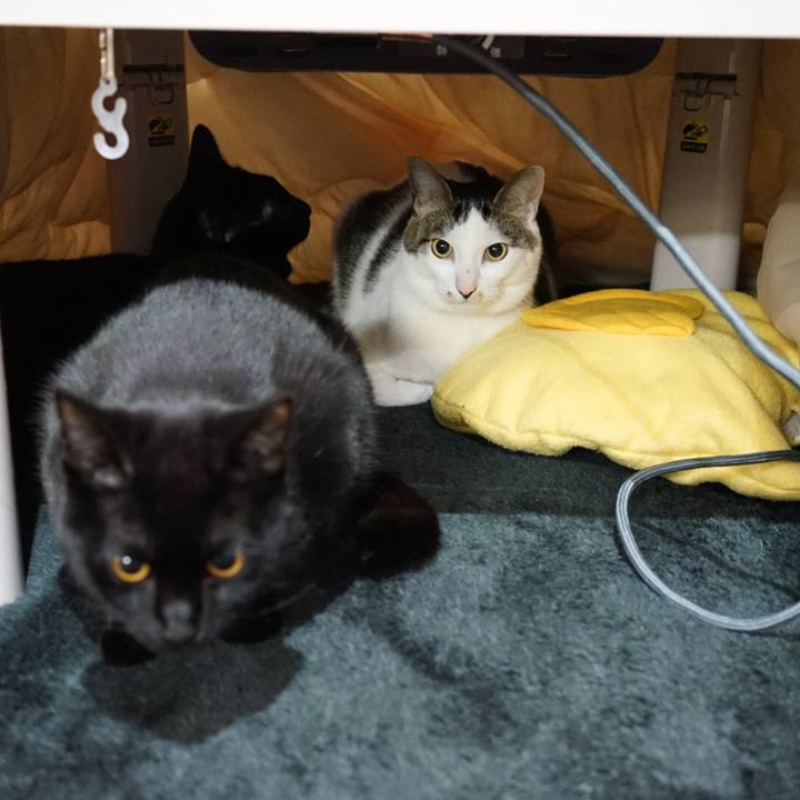 3ea0728e a343 45cc 8bb3 108b2497e9cc 1516837956324