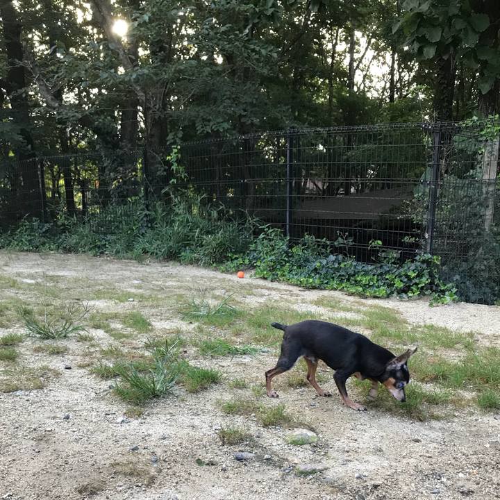 3ea099fd c6d2 4395 8177 204455d280a5 1537191205969