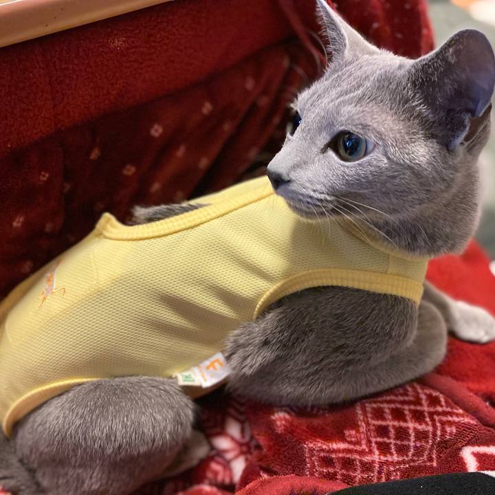 3ea09a37 f154 44a3 b76e 2009e530790a 1609243443057