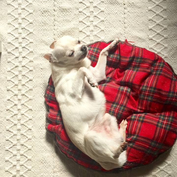 3ea0d8df f3eb 4cd0 8454 e40cc31bd114 1508978858951