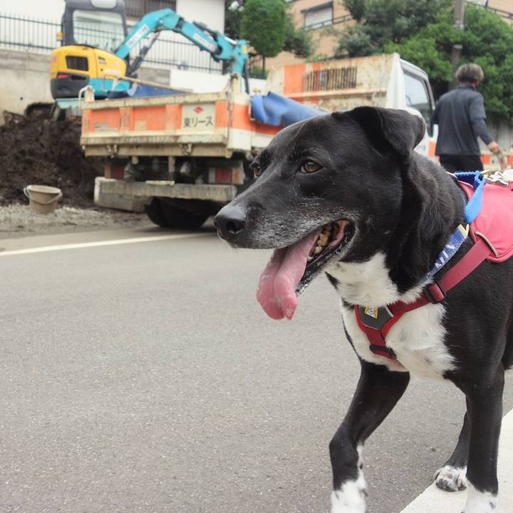 3ea11f17 912d 4993 bc68 c9138e3f9dfd 1686788251512