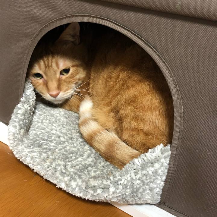 3ea13385 1999 45db 9856 5f6721225d63 1614690688758