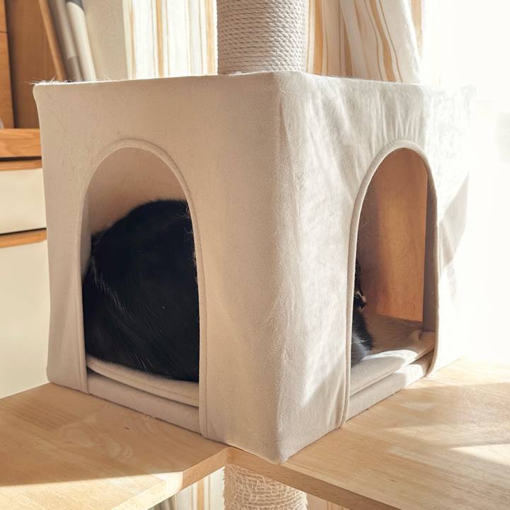 3ea1590b 744e 4733 9f4a 6563b85014bc 1765517353891