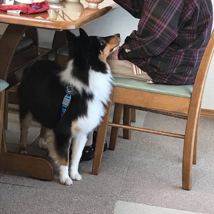 3ea16d6d 0c07 4eaf 8498 54493b457b1d 1540504705756