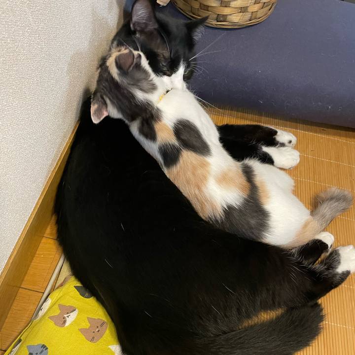 3ea1737c 507e 43d0 aa30 4e37a8bc7764 1663648686327