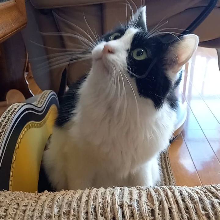 3ea17490 3e34 43a8 ac14 d2619849f99b 1674703241634