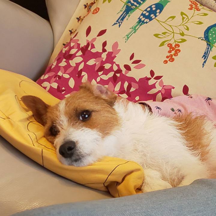 3ea1f971 830d 4872 aaa3 f737059e8a66 1553913019888