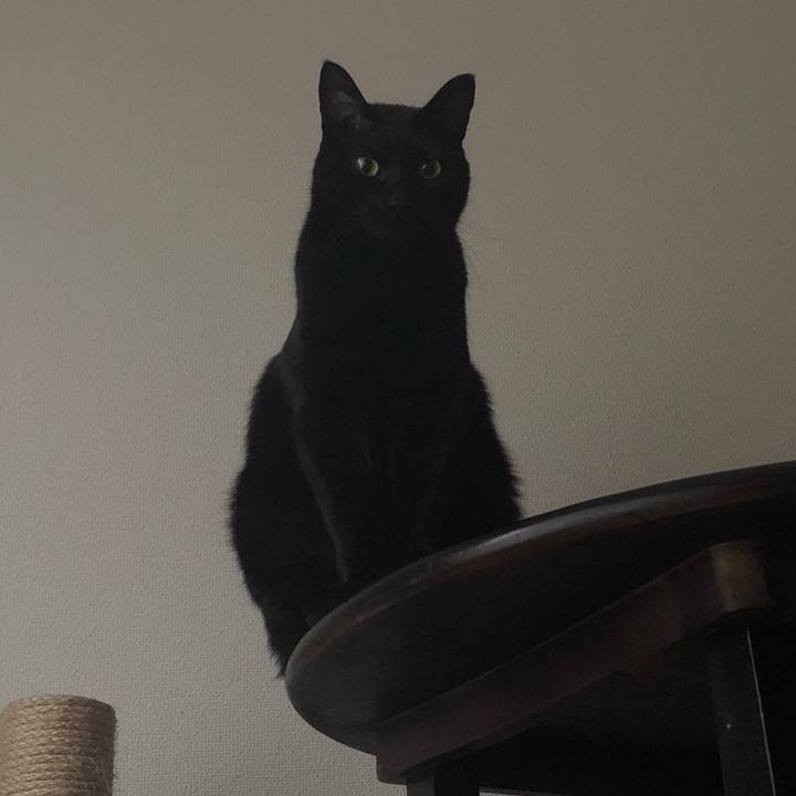 3ea202a4 fd8d 4a72 ad3f 5f190113707c 1549664909012