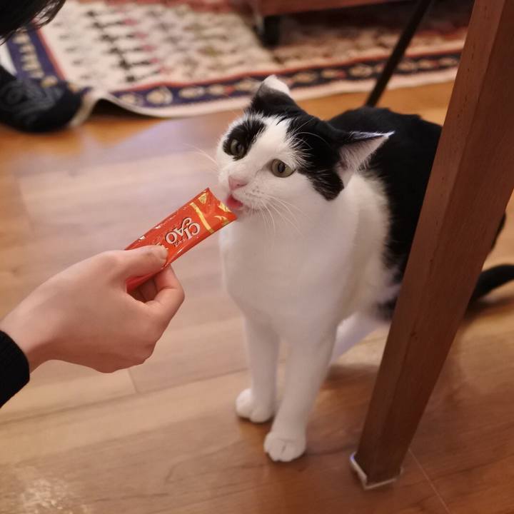 3ea204f0 30e2 429e b88d 2ec9a9ec4814 1514992445670