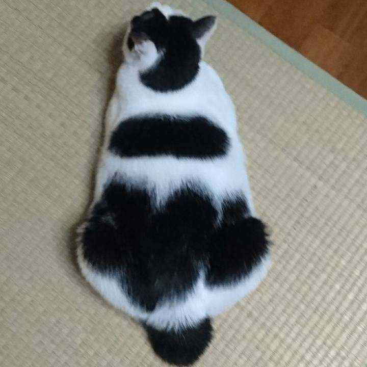 3ea211f9 1a7b 4455 905d 122380c1fe6b 1519218810317