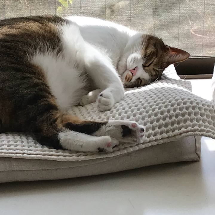 3ea22c3d 9ff2 4e54 af32 5a42c95f3010 1521094689220