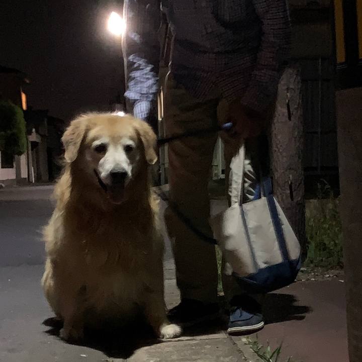 3ea29075 5c31 476d 8179 861cd67f2d55 1601925923201