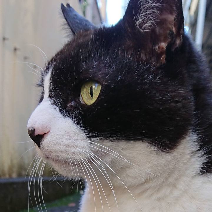 3ea2bd9d a616 40bf 8170 fea959344b8c 1636774467606