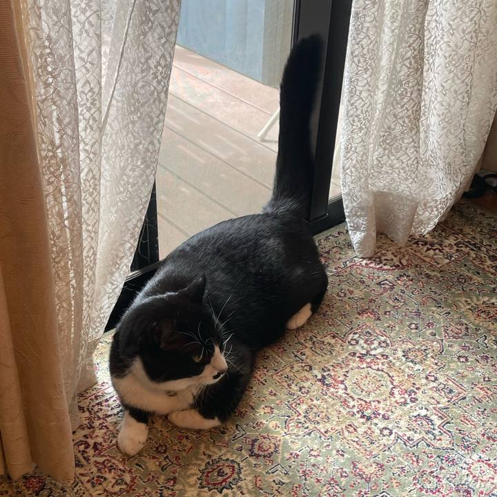 3ea2f129 2729 4149 be06 dded5482093d 1725064961745