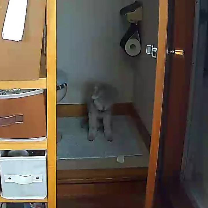 3ea2f4bb 566b 4e70 97be 5066d518dd1a 1626059672705