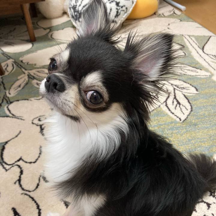 3ea31ded 7b0b 46e6 8ddf 5437985fcab4 1625375544136