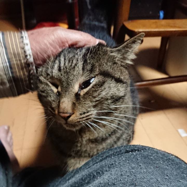 3ea34d14 5878 444d a157 1db02cce79d4 1637526955660