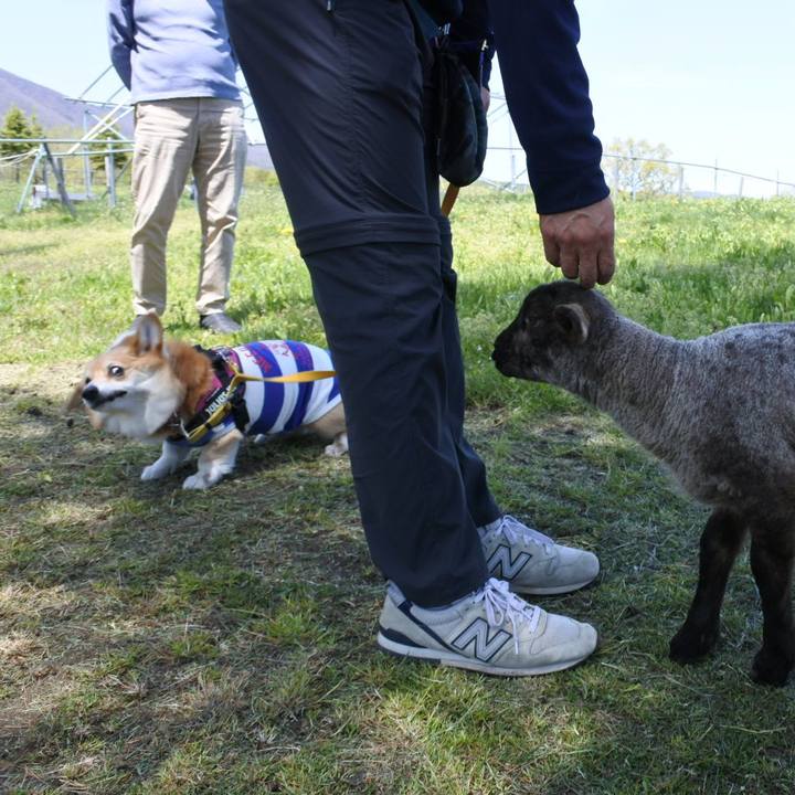 3ea35806 61d4 4f6b 830d de4112e71386 1683205461356