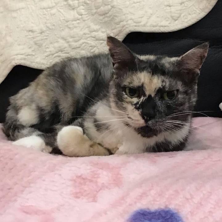 3ea365ad 1a57 4ec4 8719 6ddd0e4cf935 1601901079471