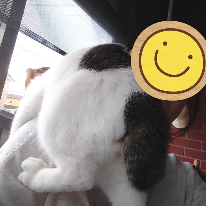 3ea36e5b 76e3 4a6f bfd4 503151ccf0dc 1742605308232