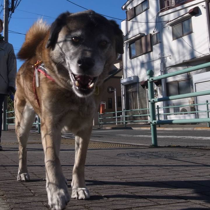 3ea3e3a6 9109 463a b691 6a60b6d3d7fb 1597880721466