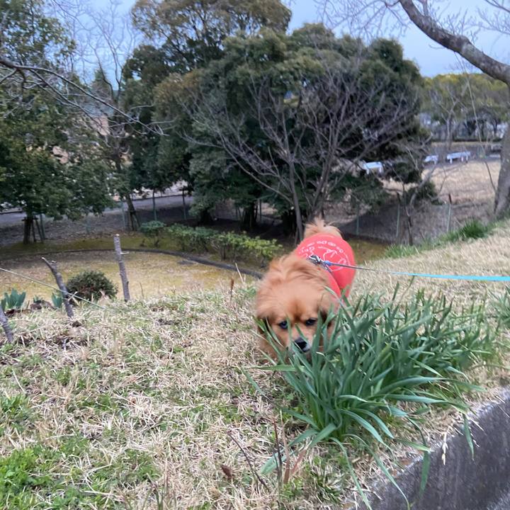 3ea4044c da94 497a b9c7 70b105d7cf14 1614894500619