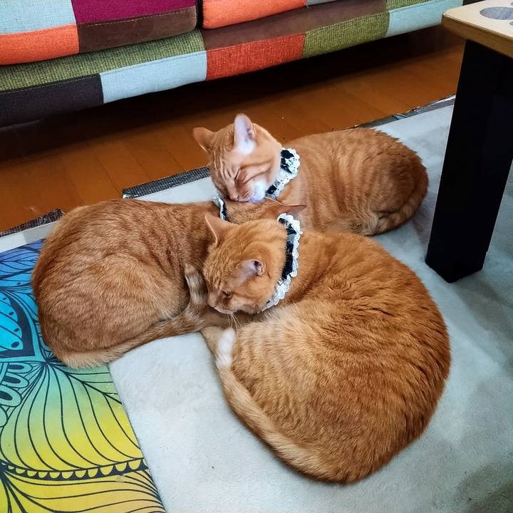 3ea4127f 8f64 4be6 bc6c a8758dda1025 1589959256119