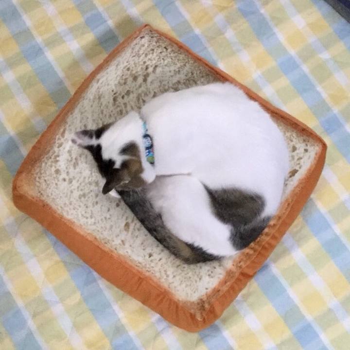 3ea43aa3 9d6a 4a06 a3aa cdb264ead854 1525585425094